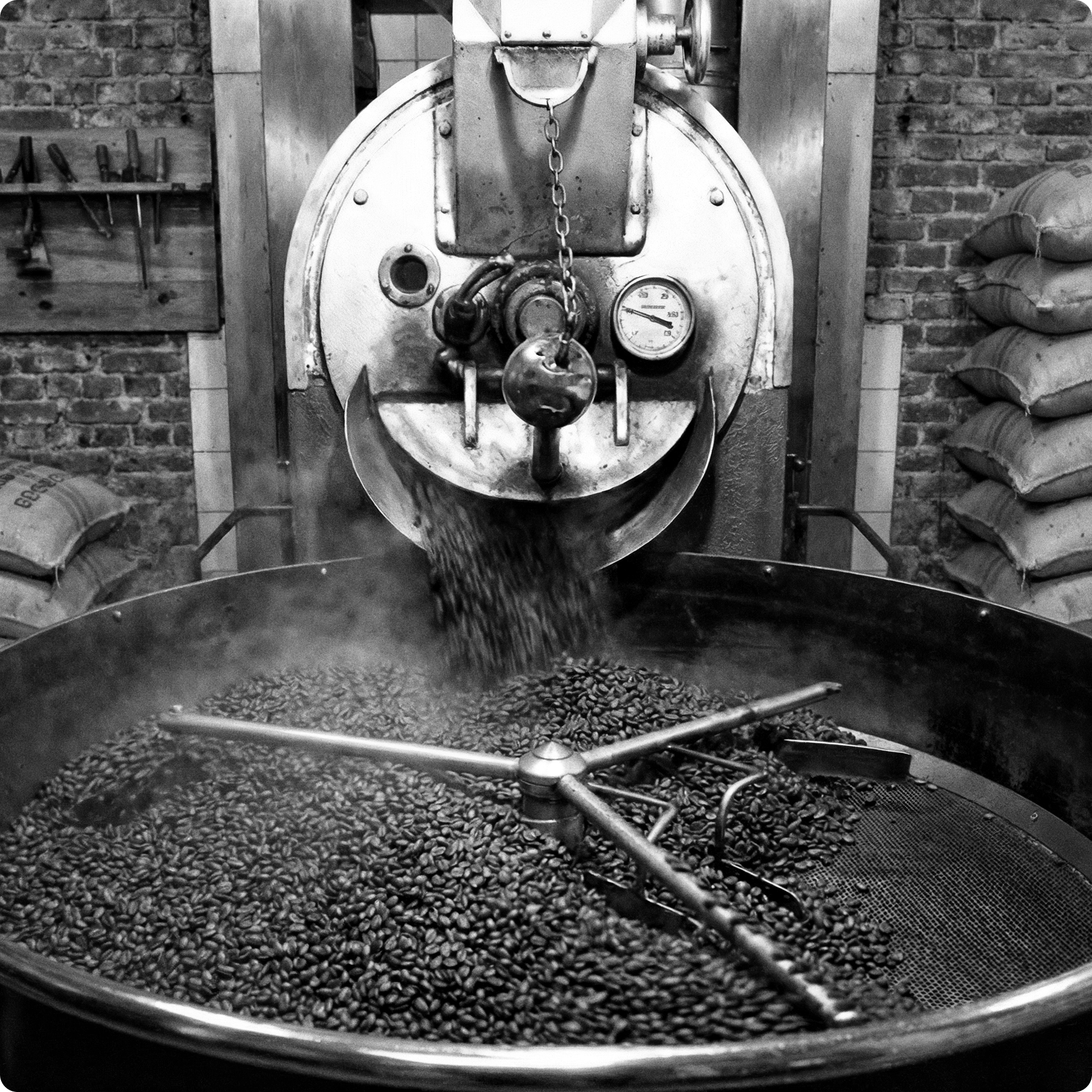 Premium Arabica 1 Kg