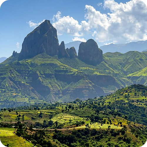 Etiopia: Sekret „ogrodów kawowych” Sidamo