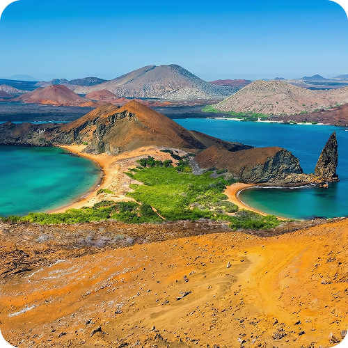 Galapagos: Bourbon z „Zaczarowanych Wysp”